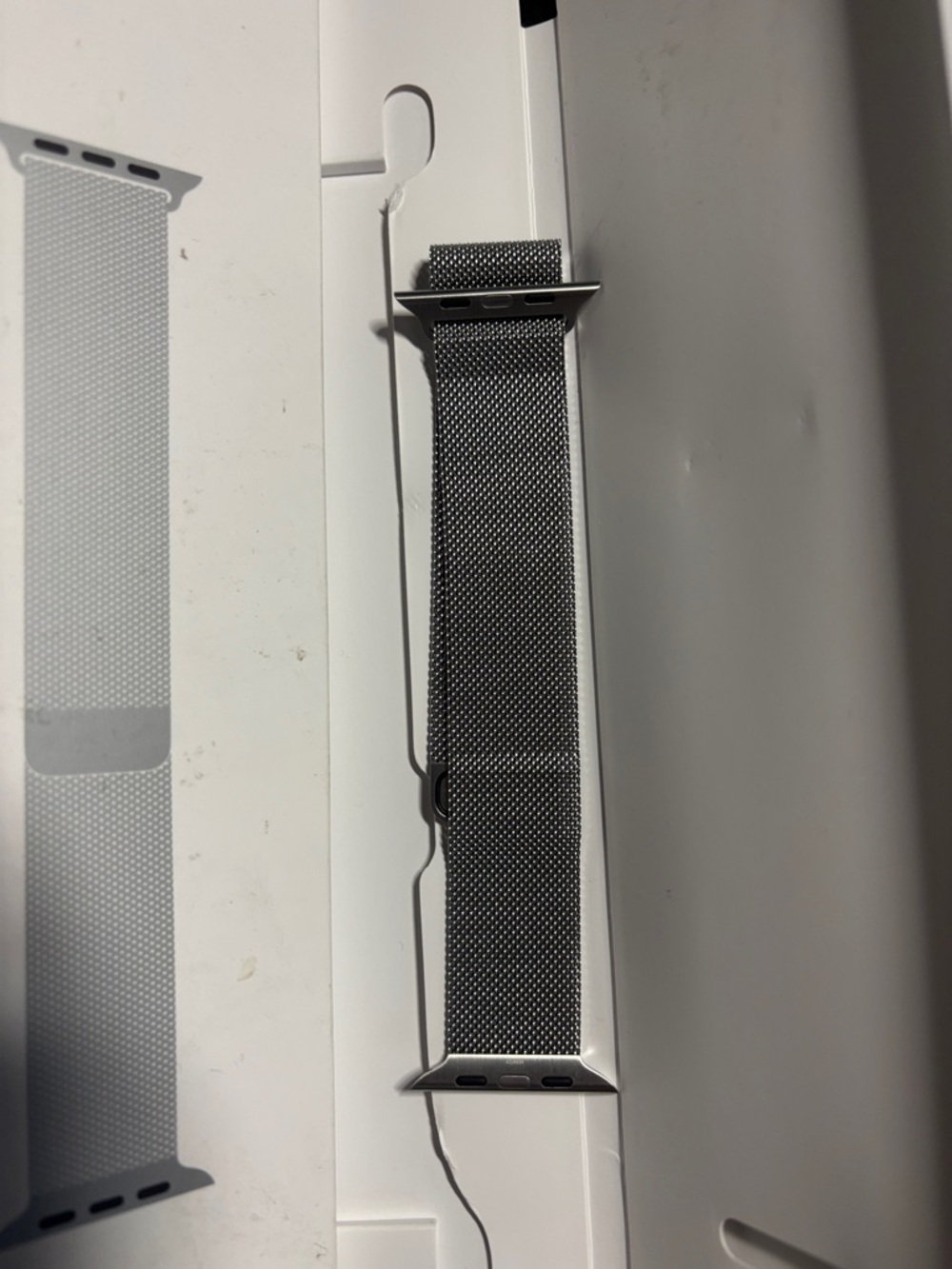 Apple Milanese Loop Watch Band in Silver